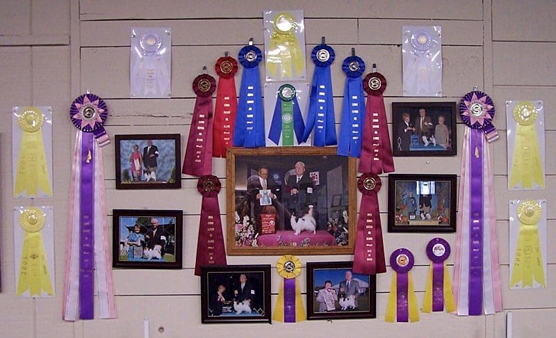 Wall of colorful dog show ribbons and photos
