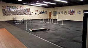 Empty indoor dog agility course with equipment