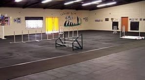 Empty indoor dog agility course with jumps