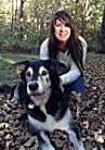 Person kneeling beside large black and white dog